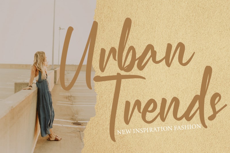 Neadless Script Font preview image 5