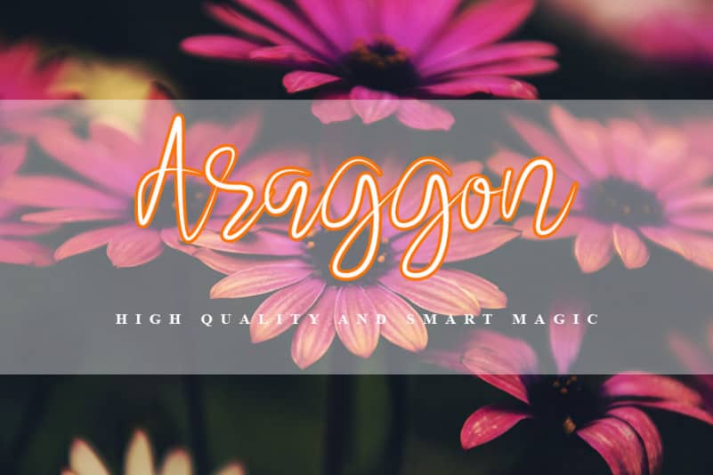 Organya Script Font preview image 5