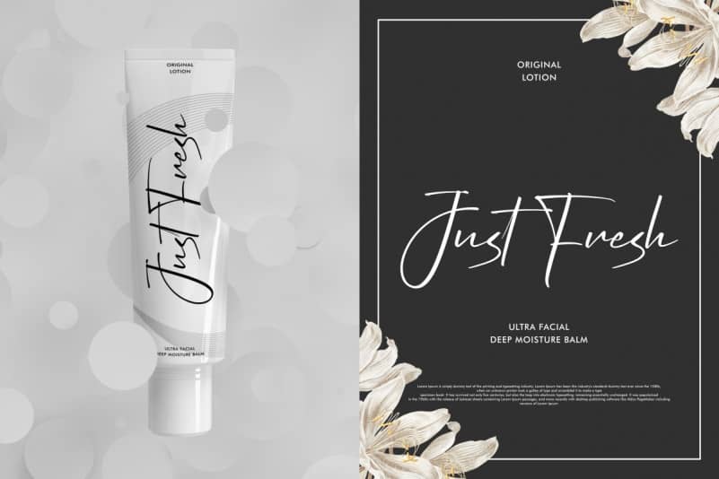 Portland Signature Script Font preview image 2