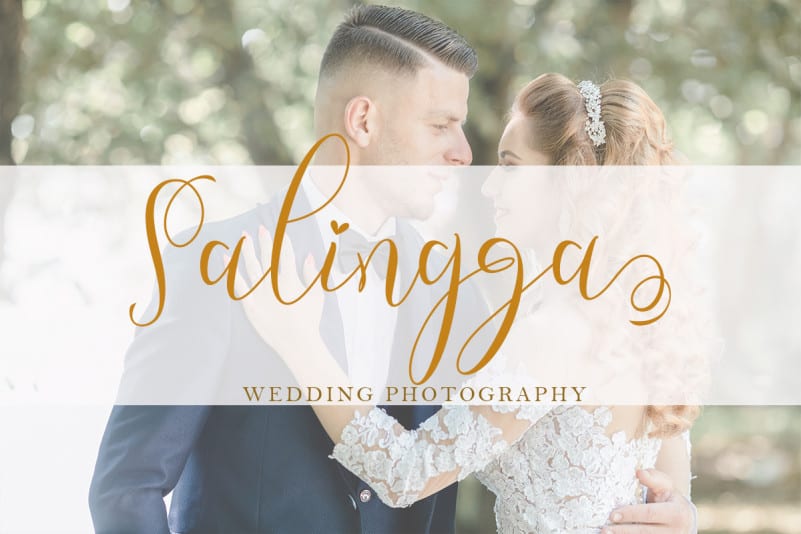 Emillisa Calligraphy Font preview image 2