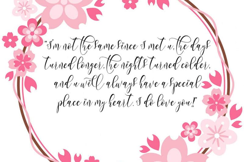 Roshalia Calligraphy Font preview image 3