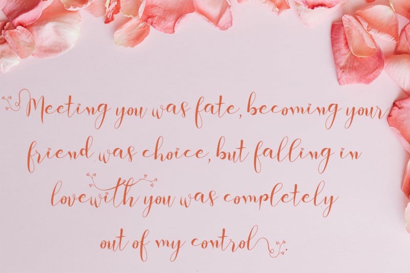 Berthessa Calligraphy Font preview image 2
