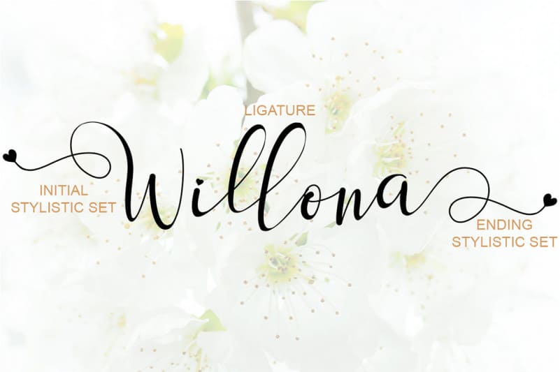 Sanantha Calligraphy Font preview image 2