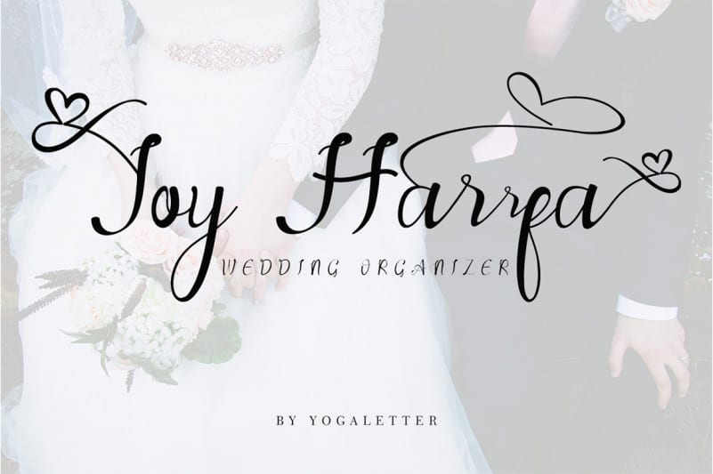 Agatha Calligraphy Font preview image 4