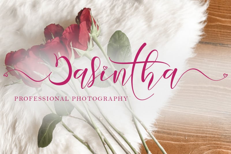 Monalissa Calligraphy Font preview image 4