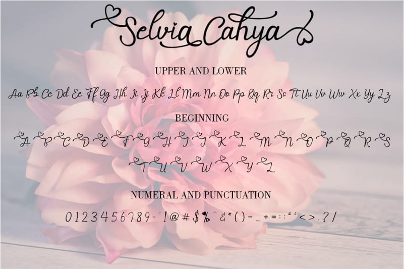 Selvia Cahya Calligraphy Font preview image 5