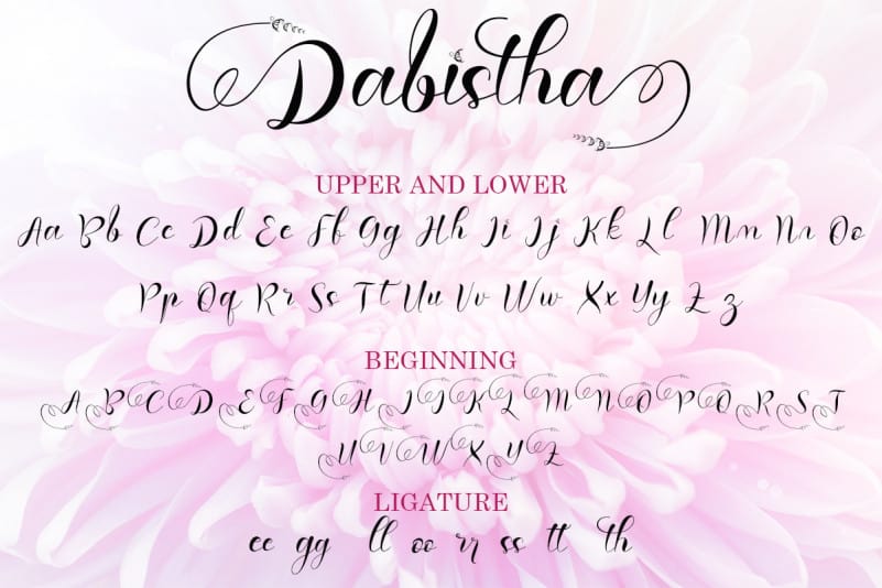 Dabistha Calligraphy Font preview image 5