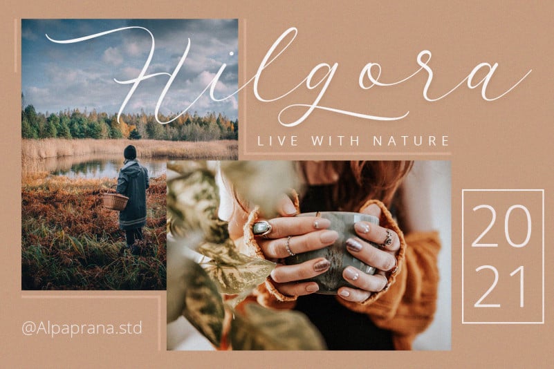 Latterday – Elegant Script Font preview image 3