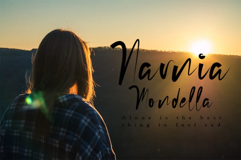Richard Calvin Script Font preview image 2