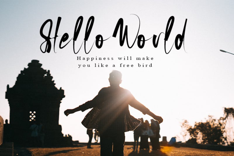 Richard Calvin Script Font preview image 4