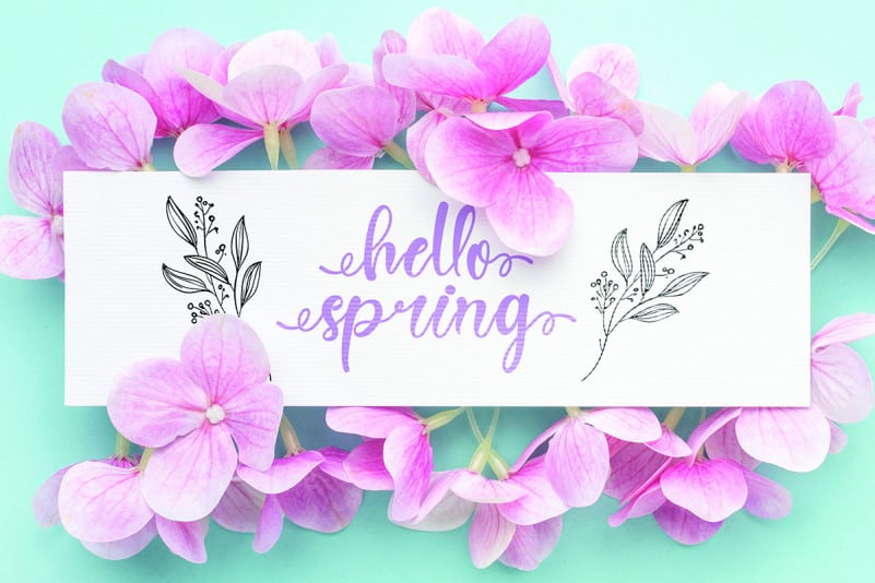 Spring Heart Calligraphy Font preview image 2