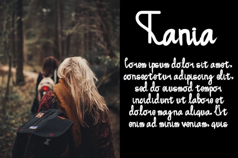 The Manthands Script Font preview image 2