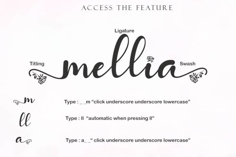 With Rose Script Font preview image 4