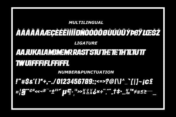 Therace Display Font preview image 4
