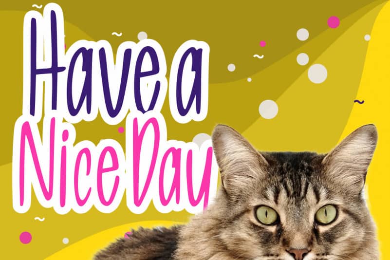 Allea Sweet Display Font preview image 2
