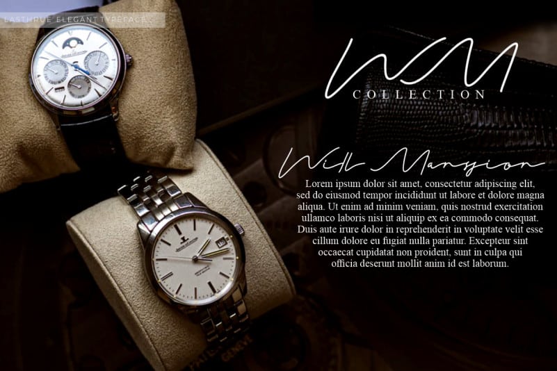 Lasthrue Signature Script Font preview image 2