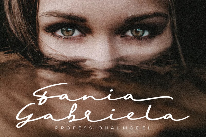 Sighnora Signature Script Font preview image 2