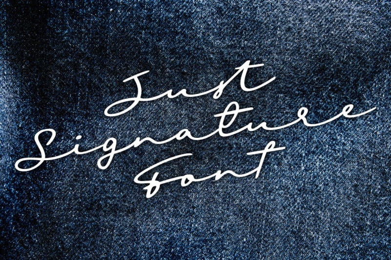 Sighnora Signature Script Font preview image 3