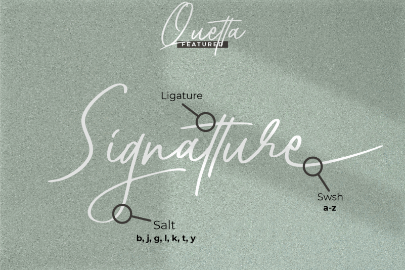 Quetta Signature Script Font preview image 4