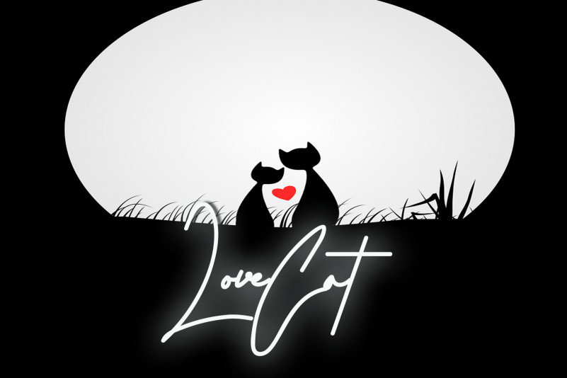 Martyna Signature Font preview image 2