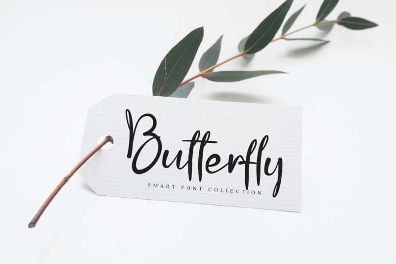 Single Script Font preview image 2