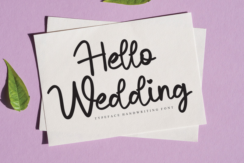 Belive Script Font preview image 2