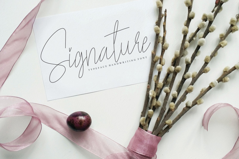 Yellowstone Handwritten Font preview image 2