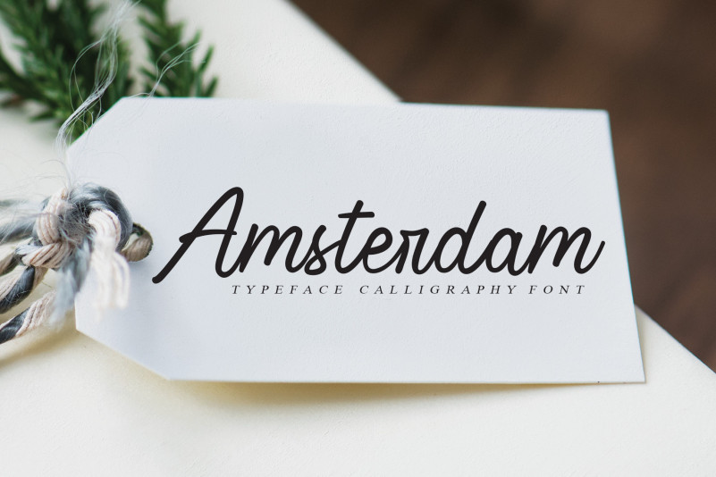 Signature Script Font preview image 2