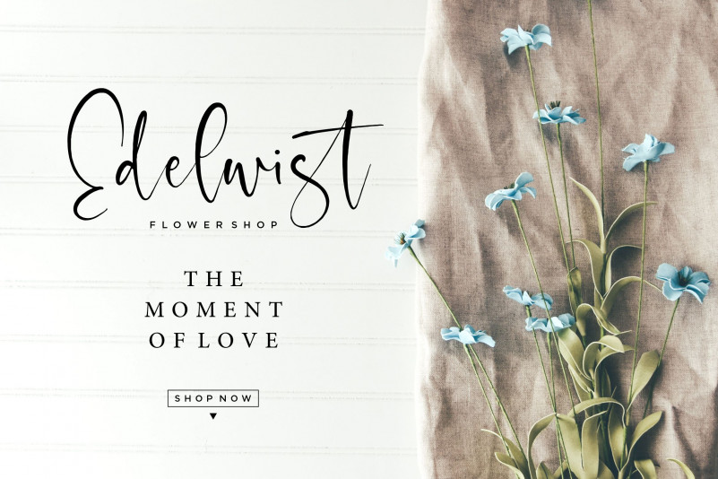 Rolasand Font preview image 2