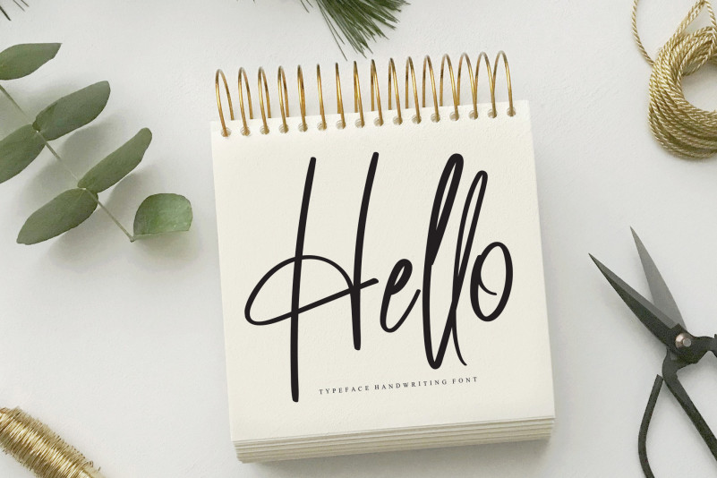 Massachusetts Script Font preview image 3