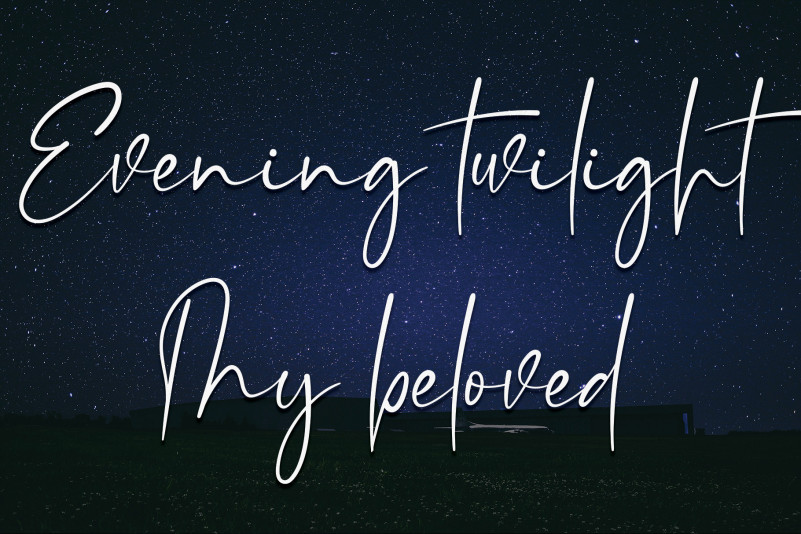 Beverage Script Font preview image 3