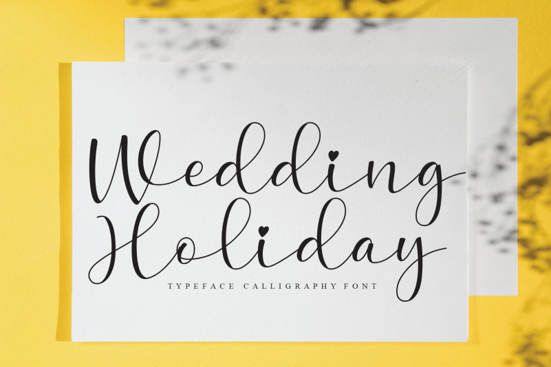 Amellia Bellania Calligraphy Font preview image 3