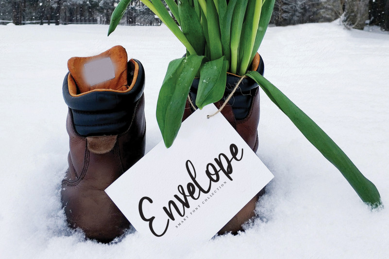 Butterice Script Font preview image 3