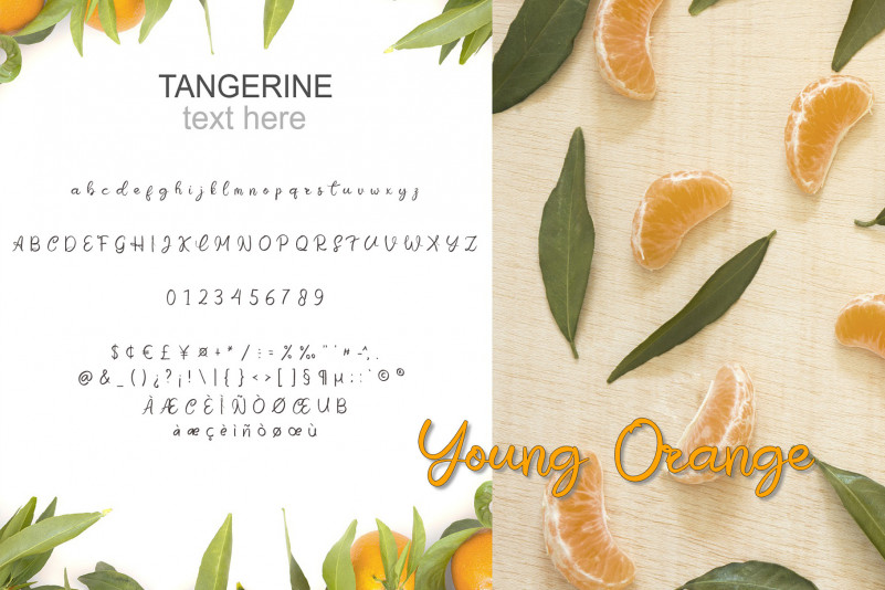 The Snowball Script Font preview image 4