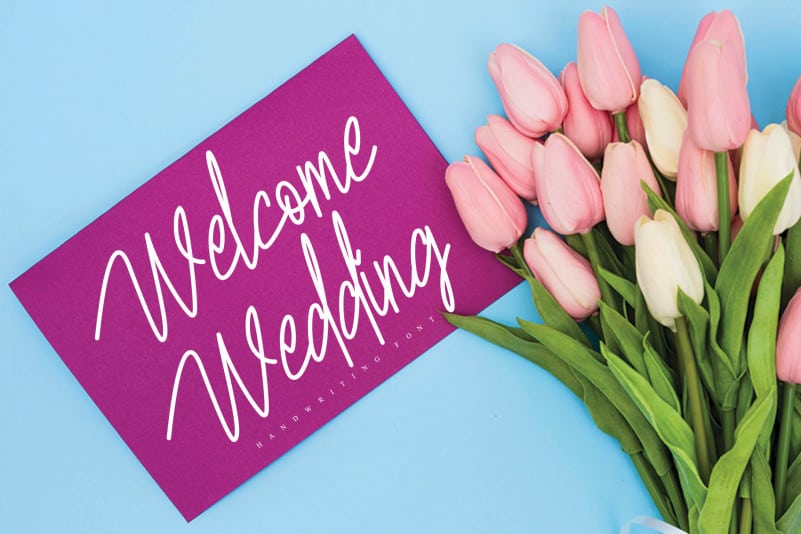 Adorable Signature Handwritten Font preview image 4