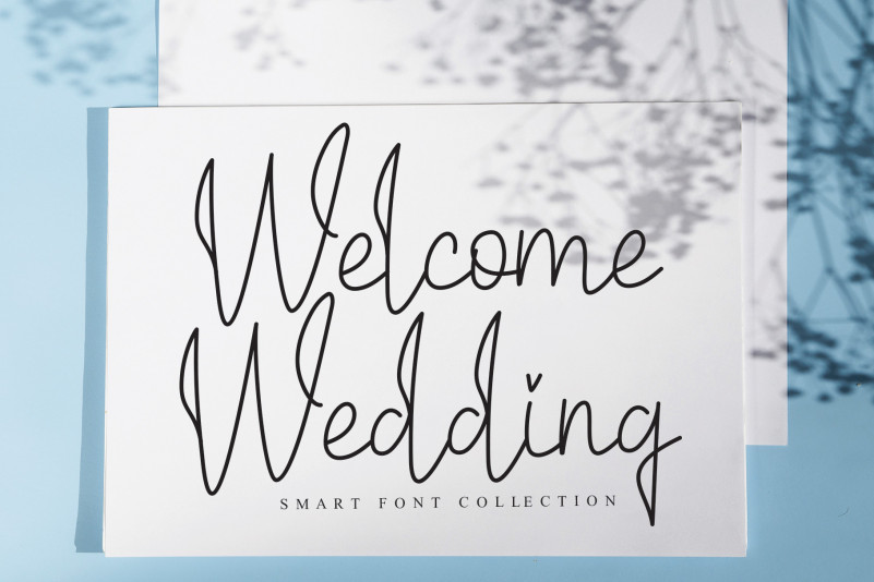 Delightful Handwritten Font preview image 4