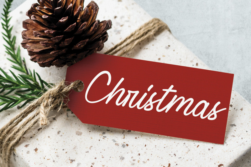 Signature Script Font preview image 3