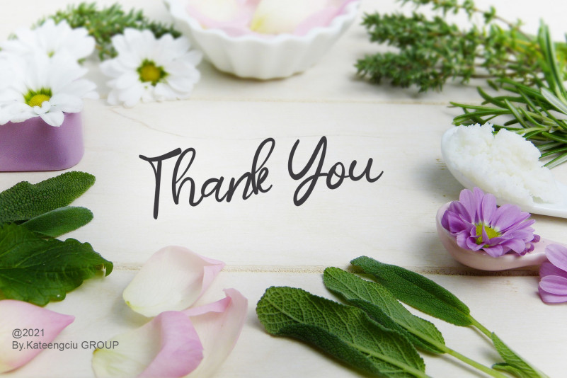 Butterflay Script Font preview image 5