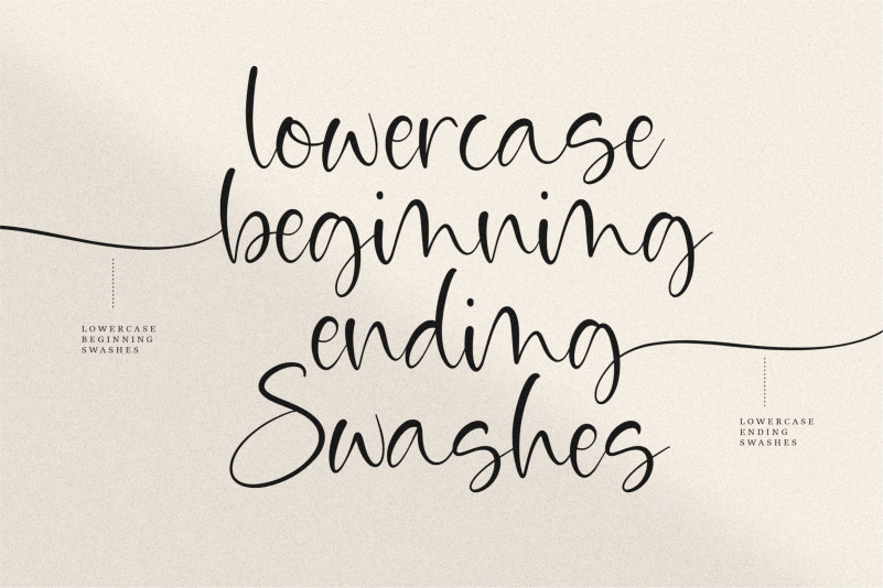 Violante Calligraphy Font preview image 3
