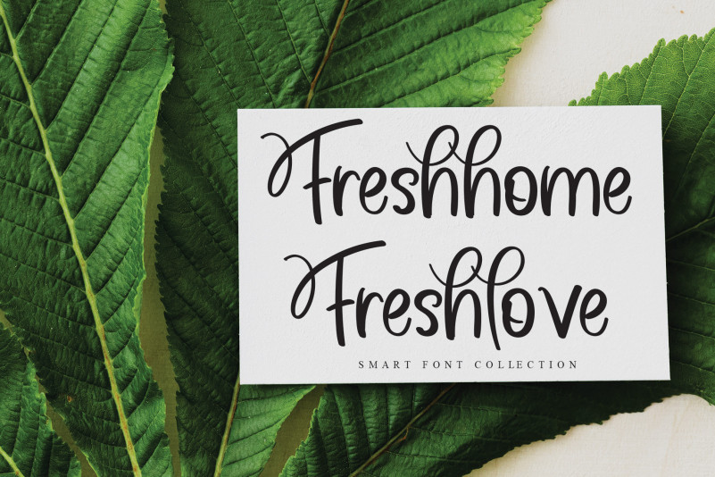 Washington Calligraphy Font preview image 5
