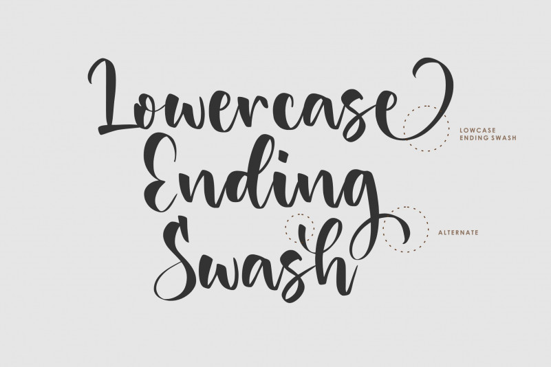 Danisha Font preview image 4