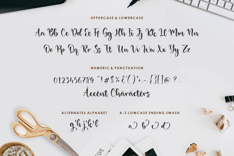 Danisha Font preview image 5