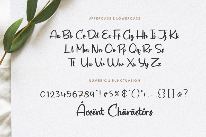 Biograf Font preview image 4