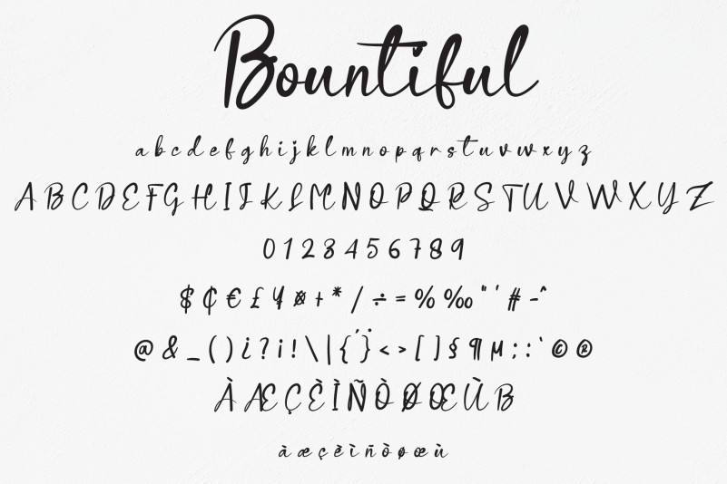Bountiful Script Font preview image 5