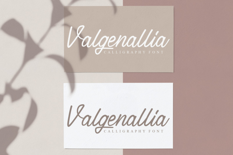 Signature Script Font preview image 5