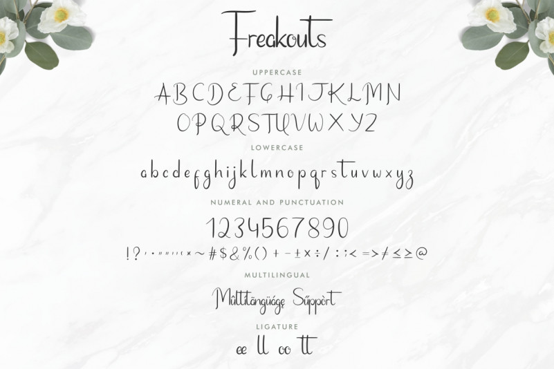 Freakouts Font Duo preview image 4
