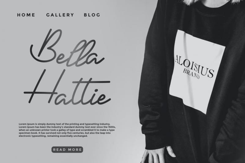 Hermony Signature Script Font preview image 5