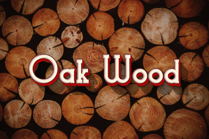 Not Wanted Slab Serif Font preview image 2