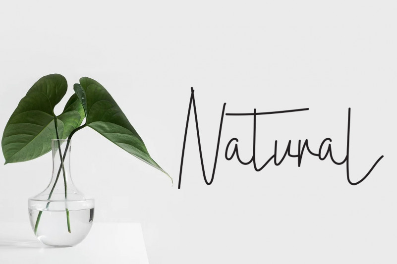 Athalia Beauty Font preview image 2