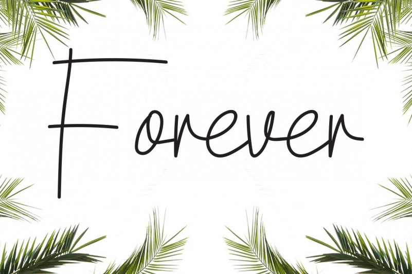 Athalia Beauty Font preview image 4